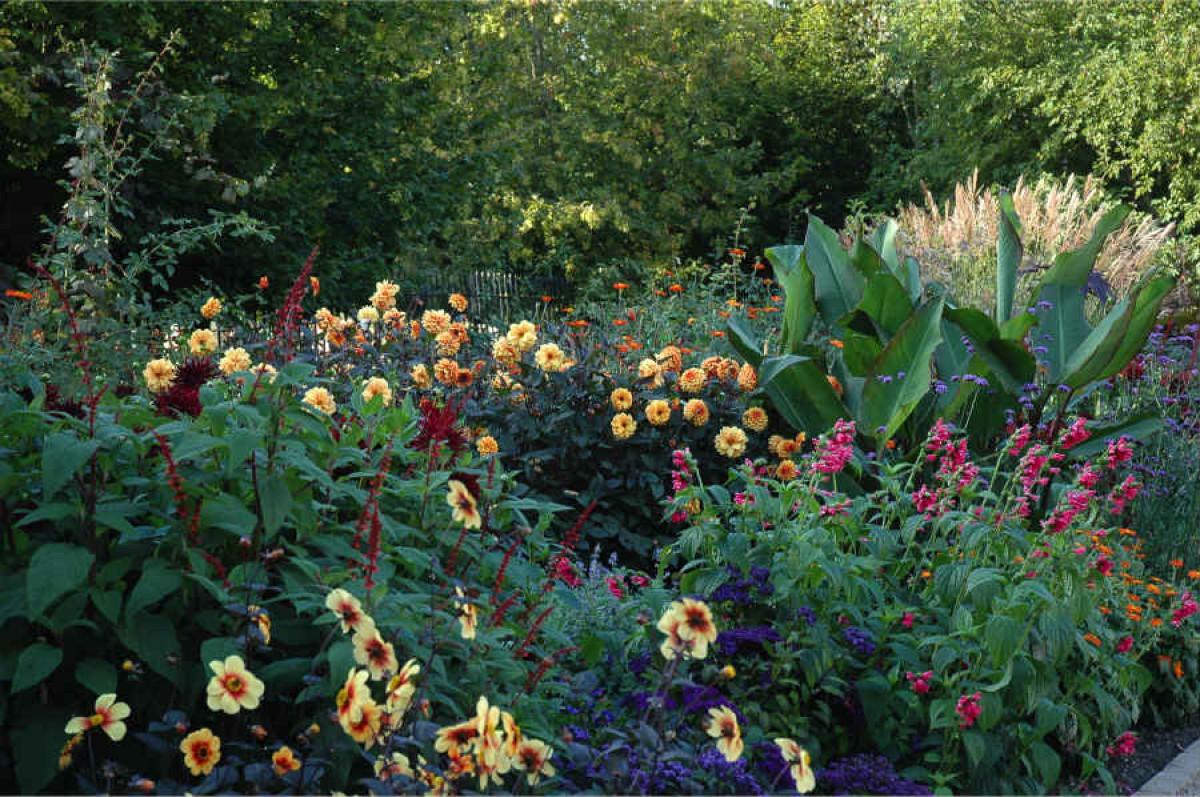 Махнете изкуствените сенки