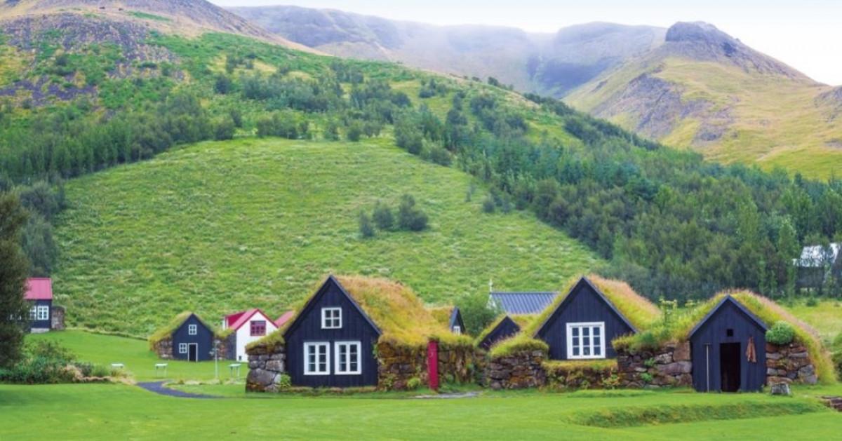 Зелен покрив за по-добра енергийна ефективност и естетика