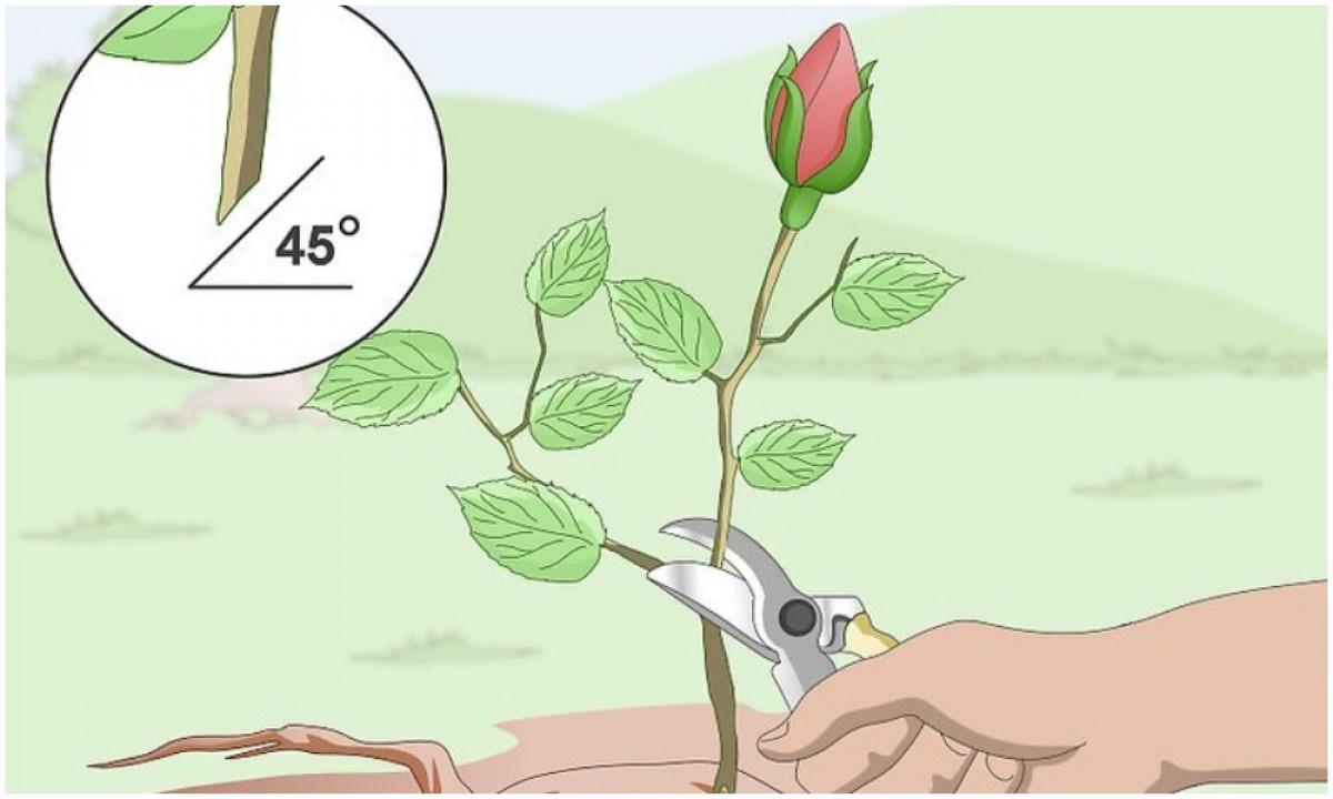 2. Подгответе ги за метеорологичните условия