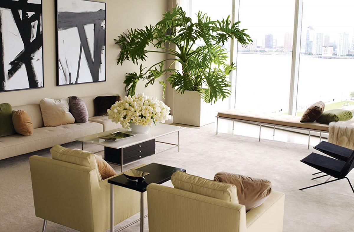 Идеално място за голямото саксийно растение