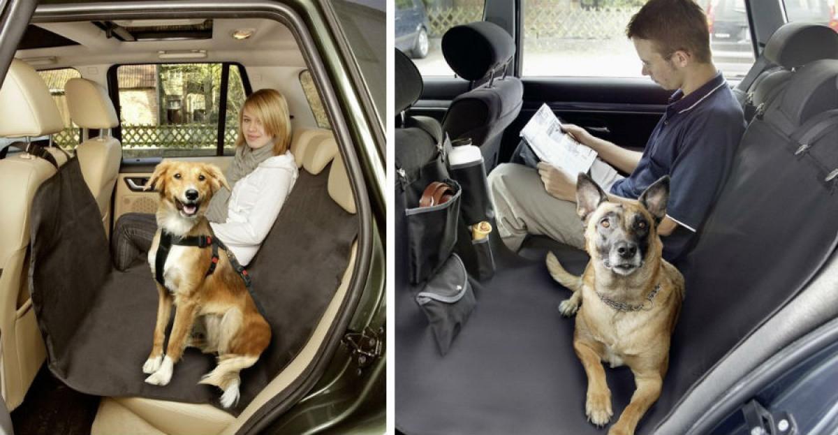 Без косми в колата