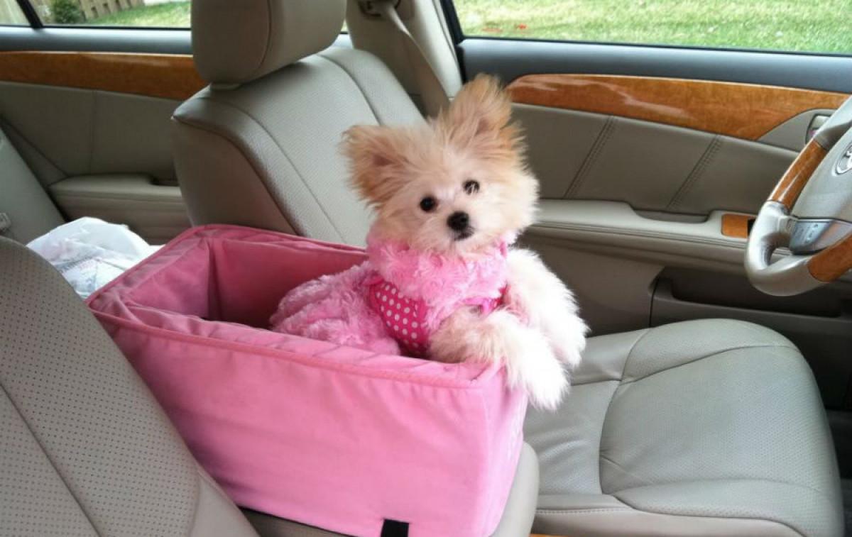 Лично пространство за всеки