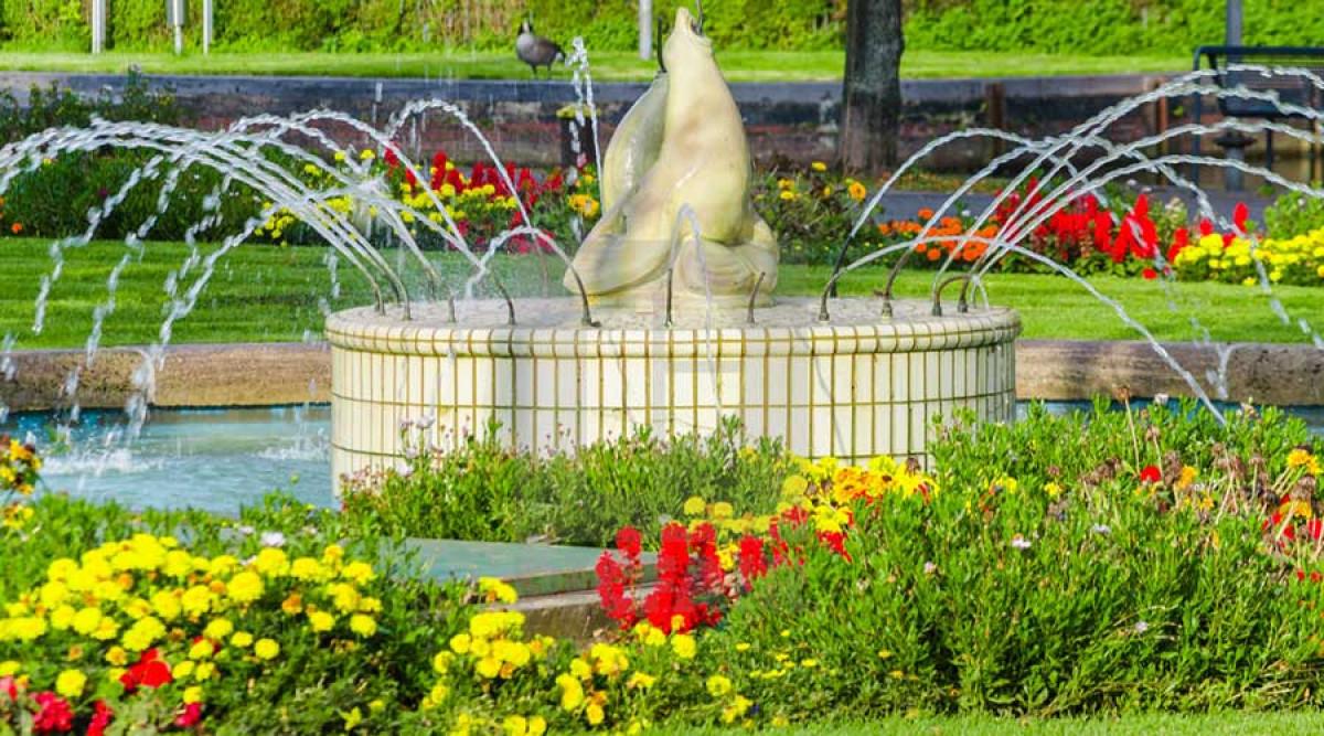 Чисто, още по-чисто – чиста вода в чисти ръце