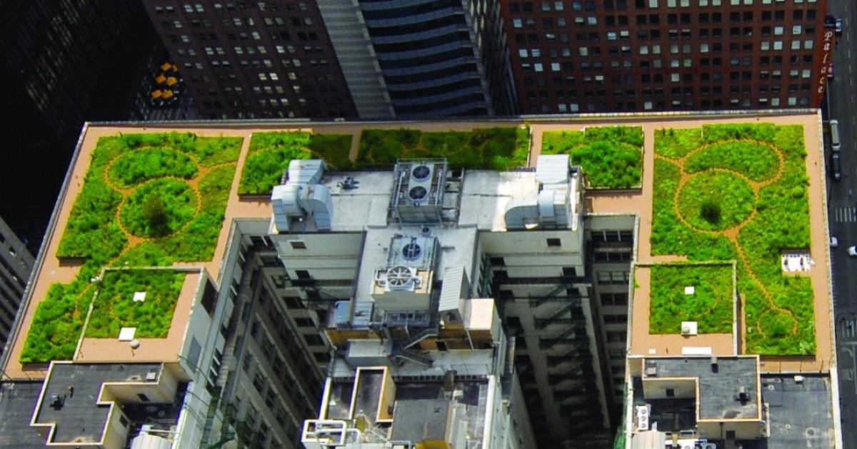 Зеления покрив в града