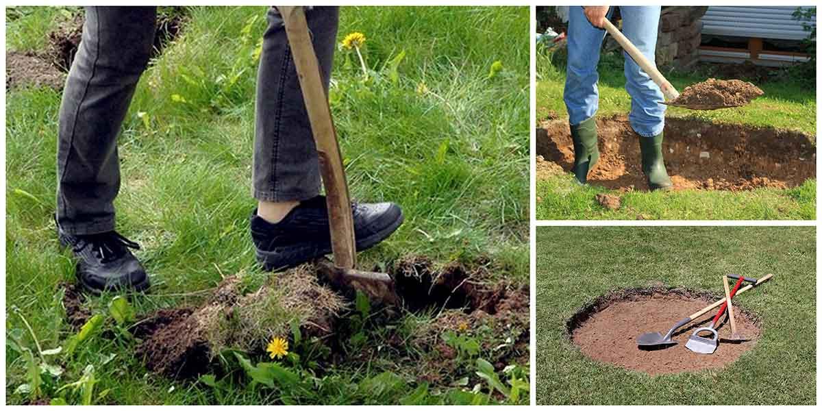 2. Изкопайте дупката