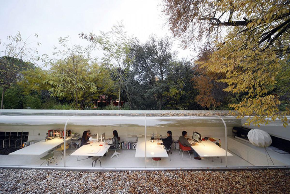 Креативен офис сред природата