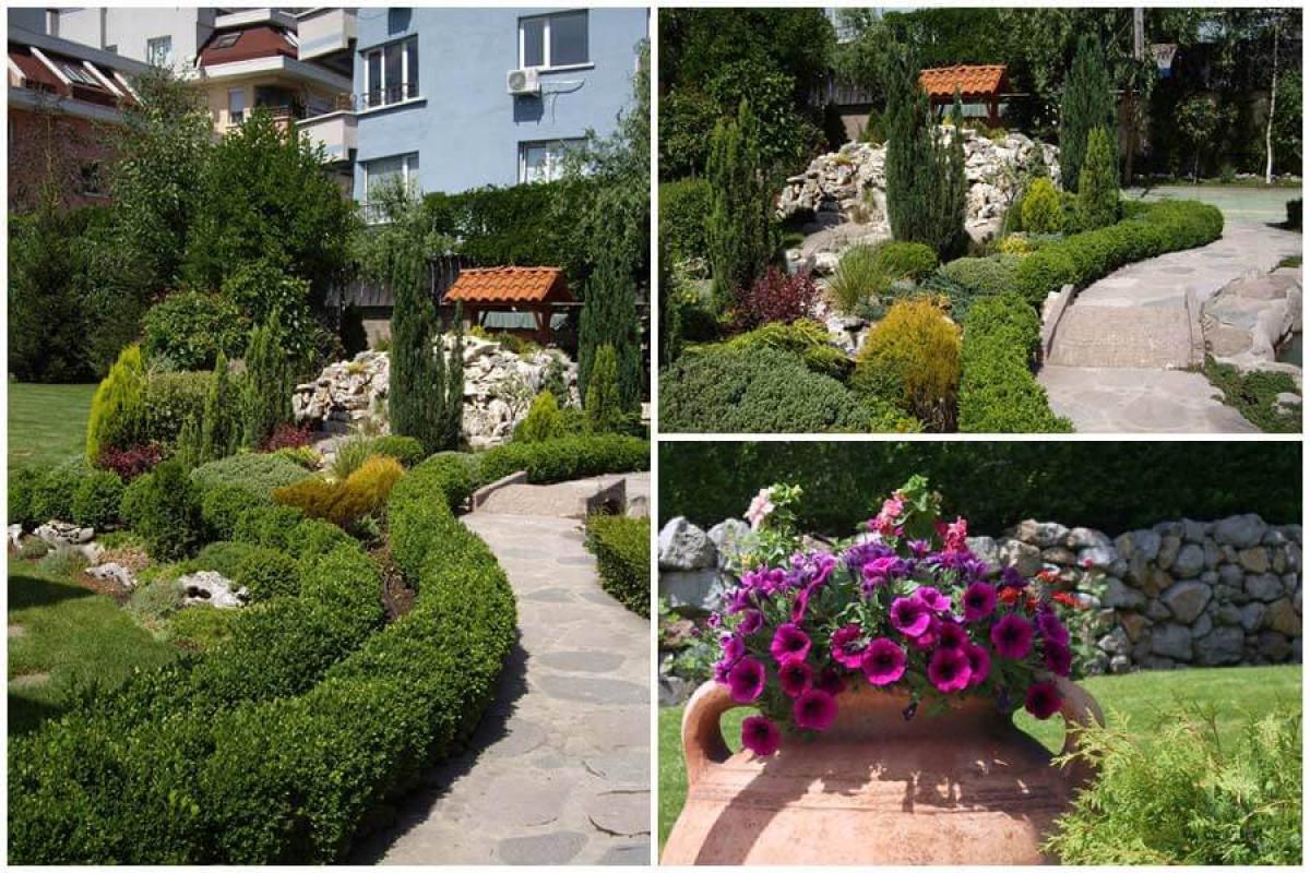 Направете градината по-красива с интересна декоративна растителност