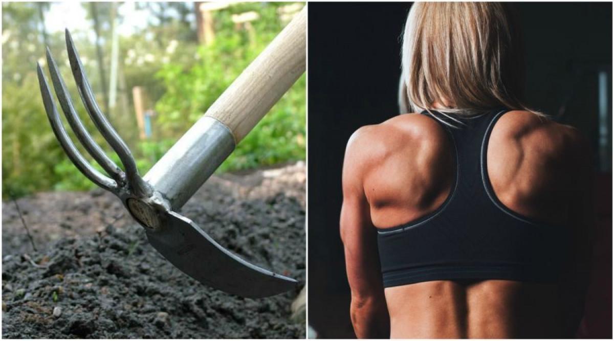 Развъртете мотиката, заздравете гърба!