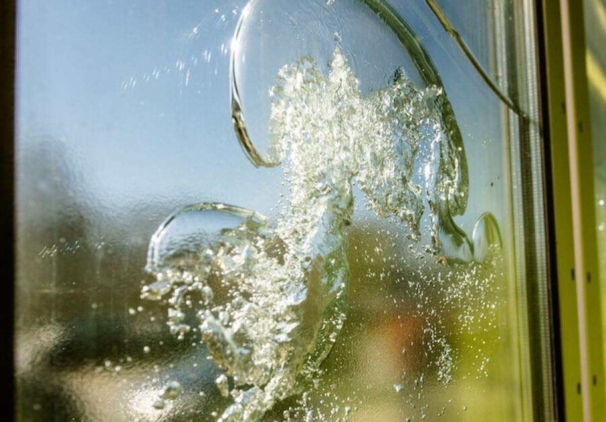 Защо точно водорасли?