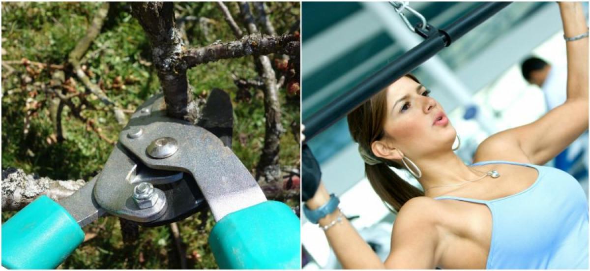 Лозарска ножица вземи, тренирай бицепс и гърди!