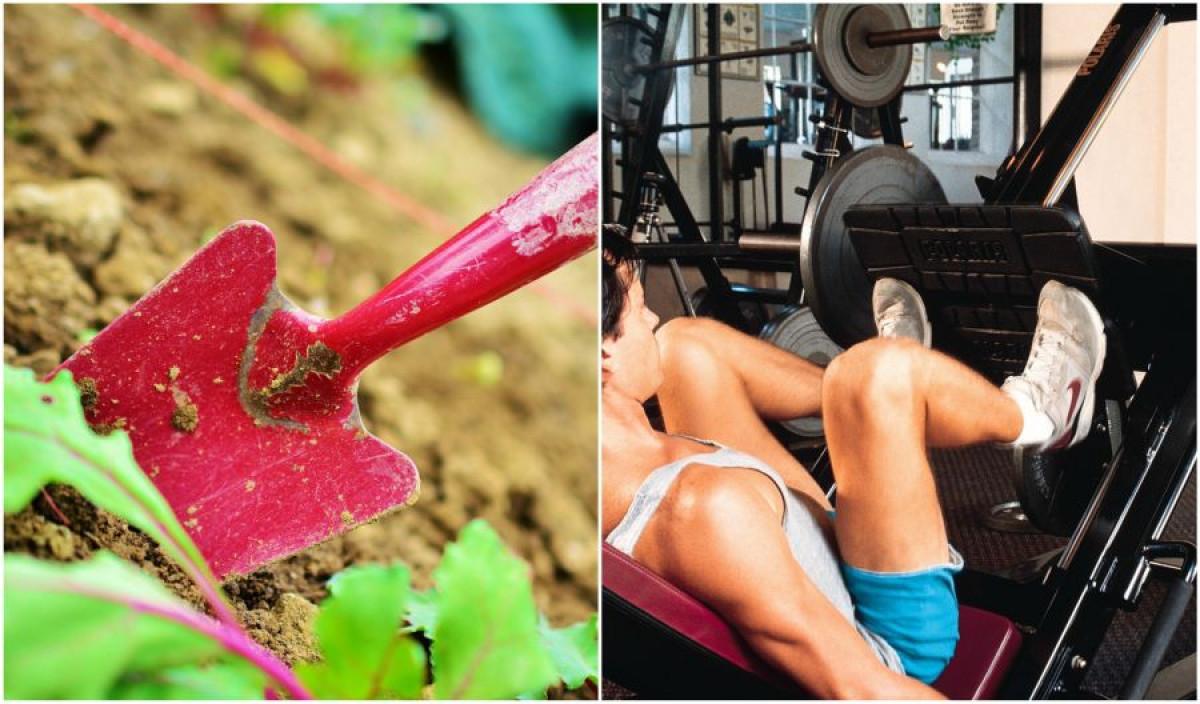 Лопата и вила за стройни бедра и стегнат ханш!