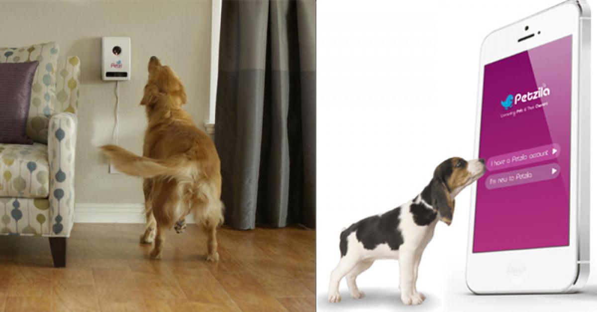 Общувайте с домашния си любимец дори от разстояние с шпионски комплект!