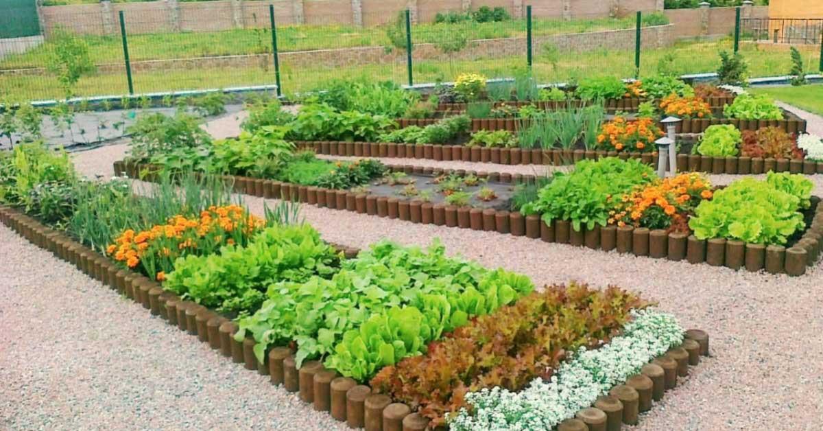 Зеленчуковата градина