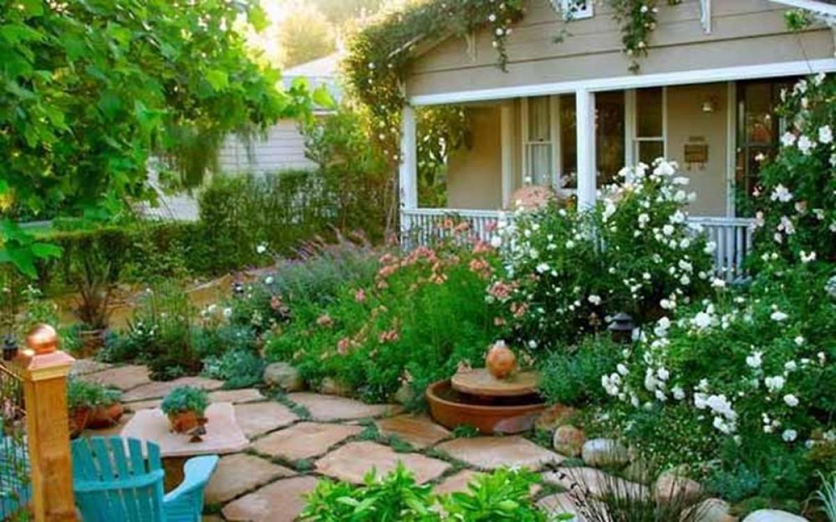 Кои летни цветя може да имаме в своя двор