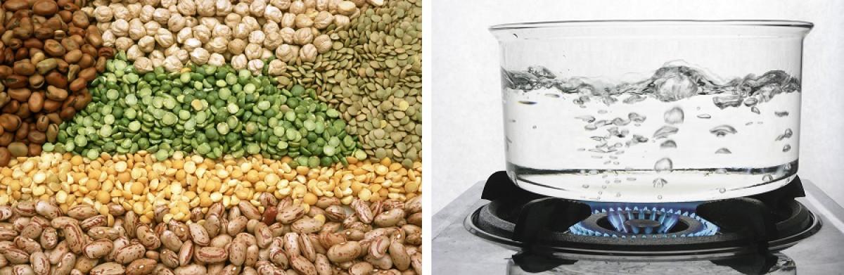 Бобови растения