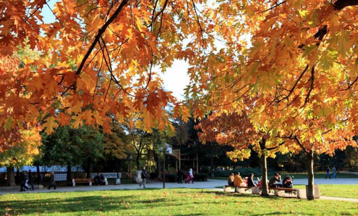 Раждане на идеята