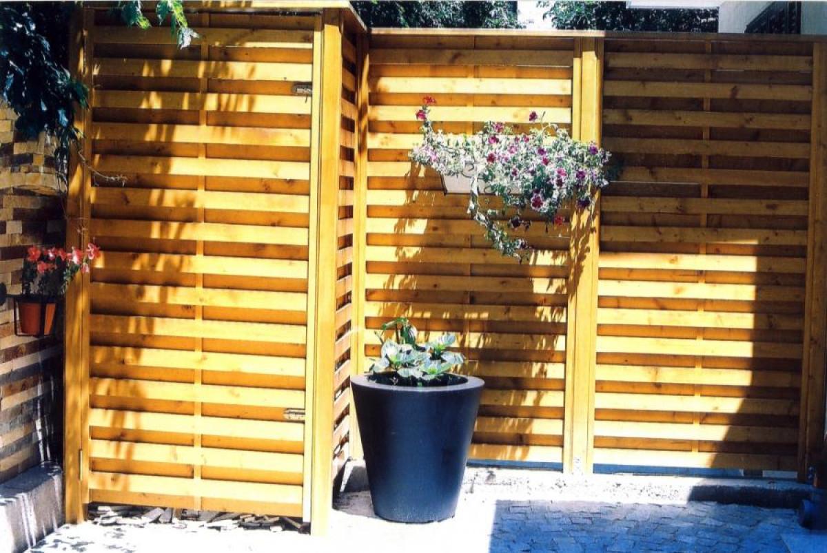 Снимка  от Георги Чолаков