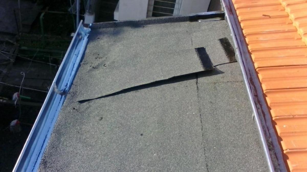 Снимка  от Стоян Нанов