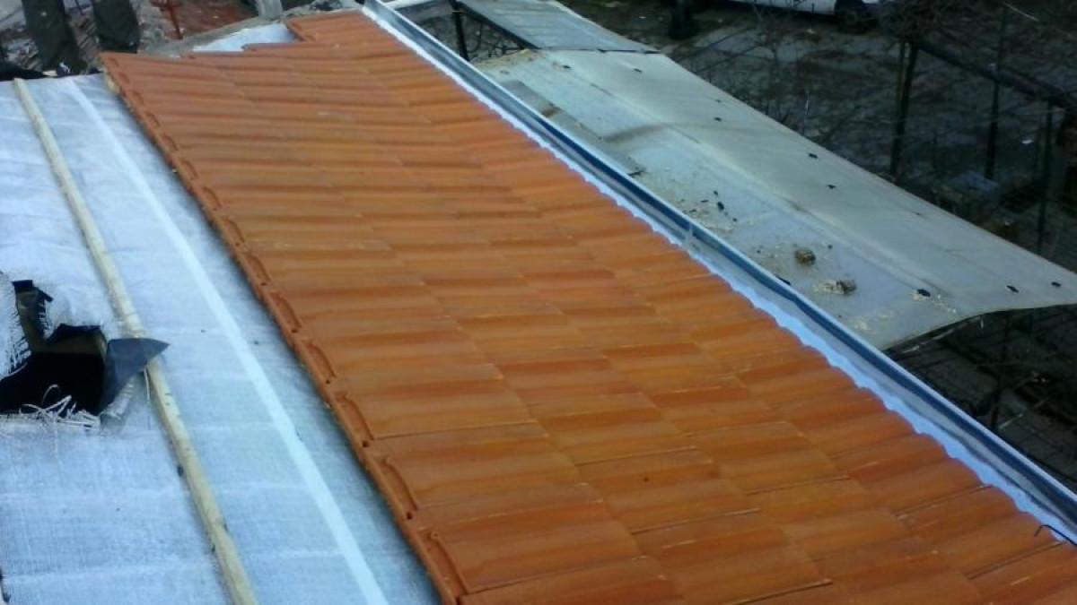 Снимка  от Стоян Нанов