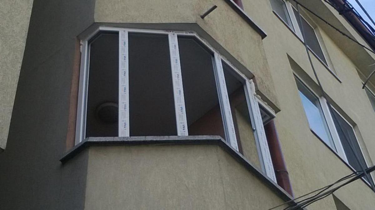 Снимка  от Александър Димитров