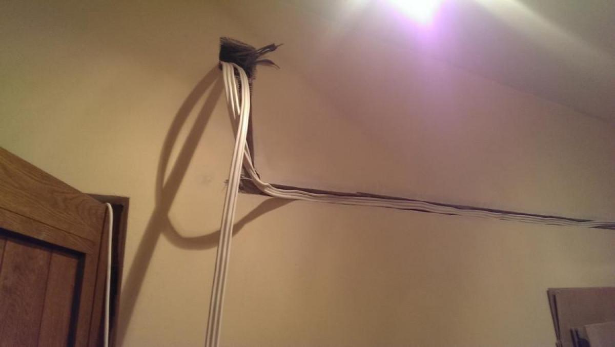 Снимка  от Георги Димов