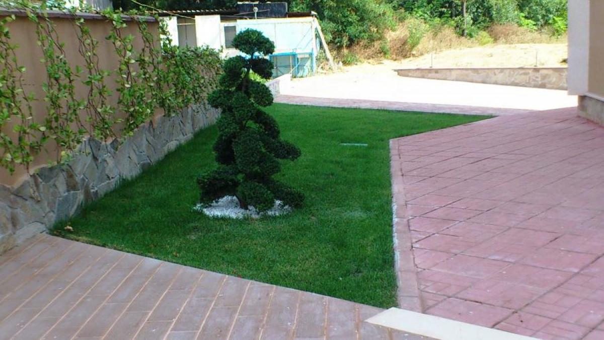 Снимка  от Иван Иванов