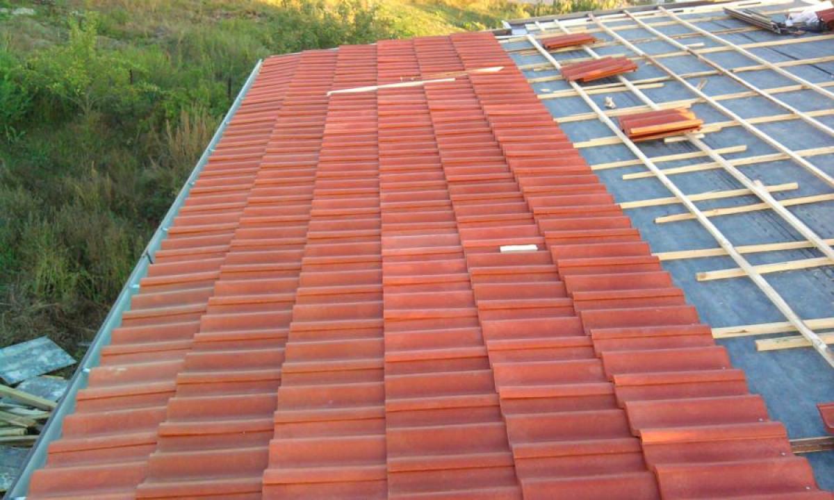 Снимка  от Арсо Иванов