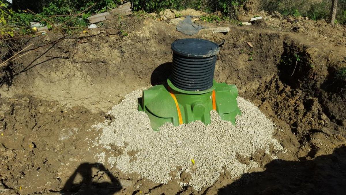 Снимка  от Венелин Лесов