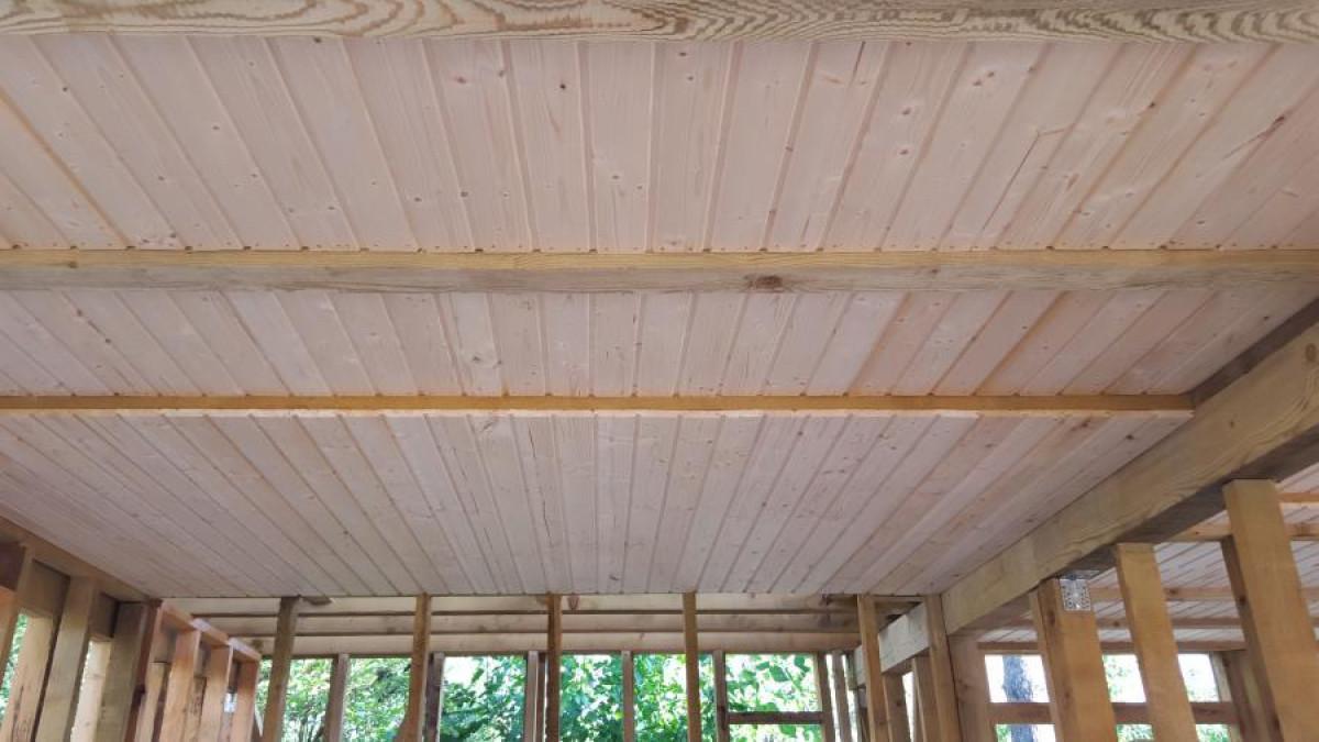 Снимка  от Венелин Лесов