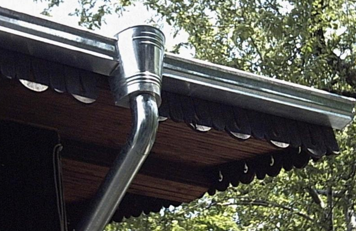 Снимка  от Слави Боянов