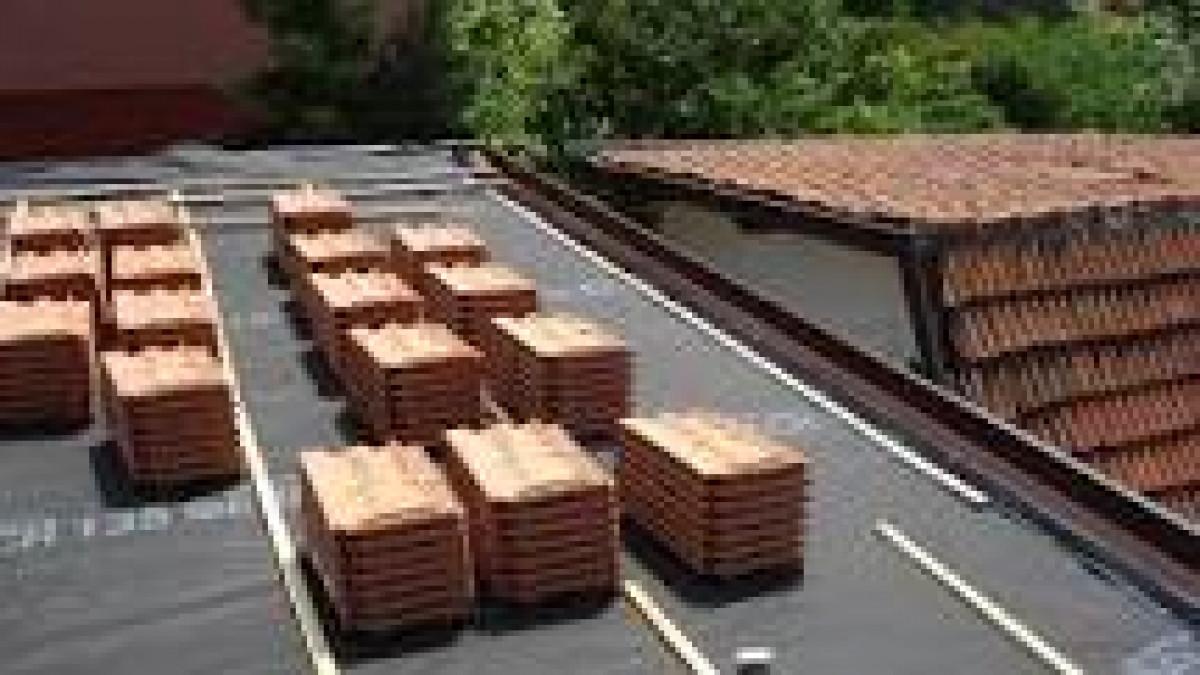 Снимка  от Янко Янков