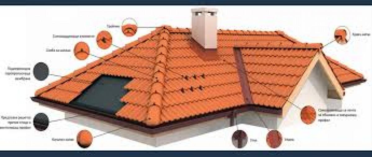 Снимка  от румен величков