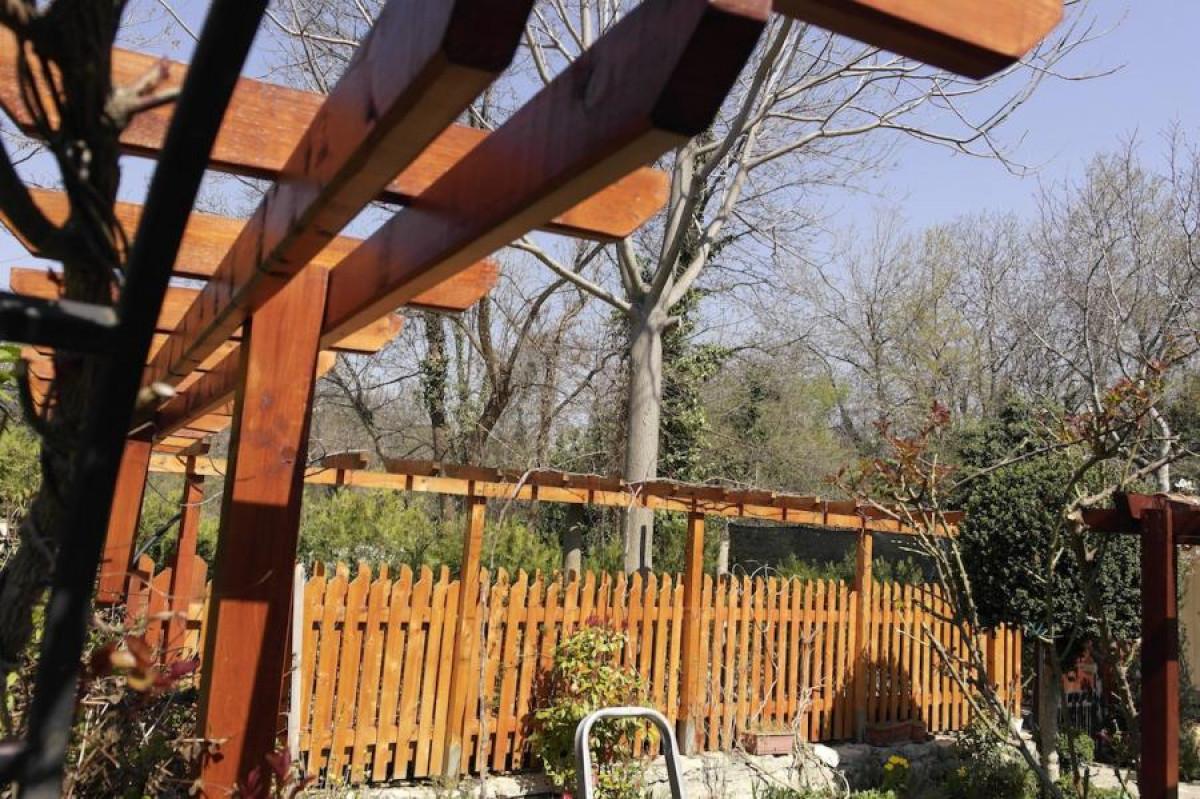 Снимка  от Тодор Георгиев