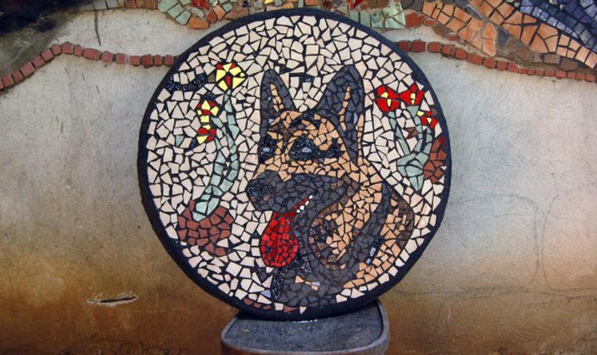 Снимка  от Марио Марков