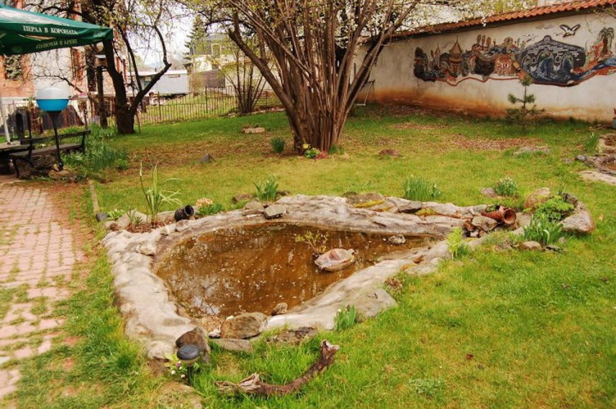 Снимка  от Марио Марков