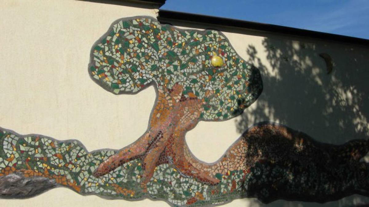 Снимка  от Марио Марков