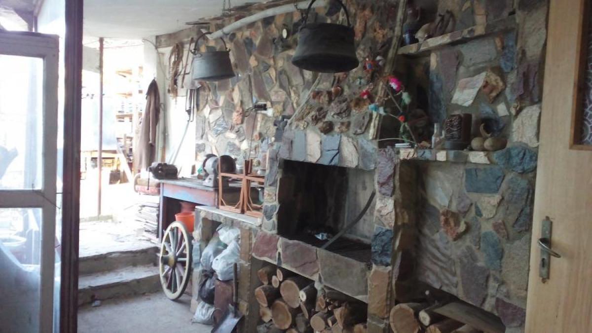 Снимка  от Димитър Димитров