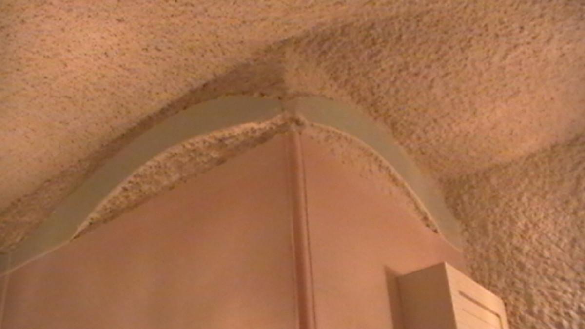 Снимка  от Димитър Харалампиев