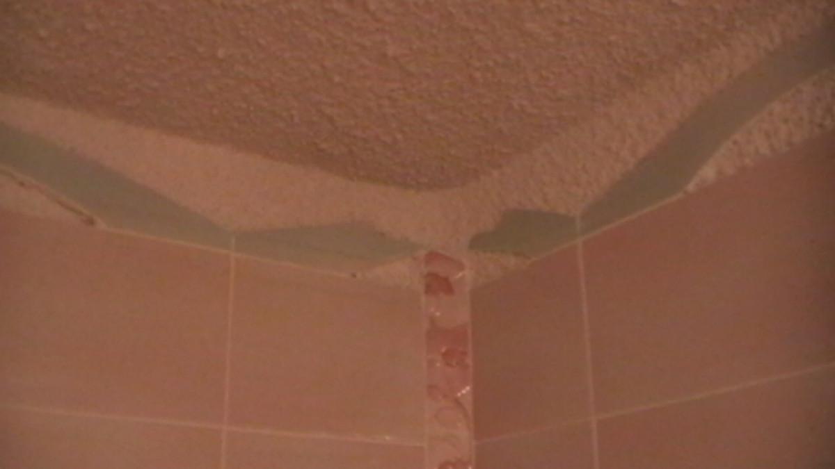 Снимка  от Димитър Харалампиев