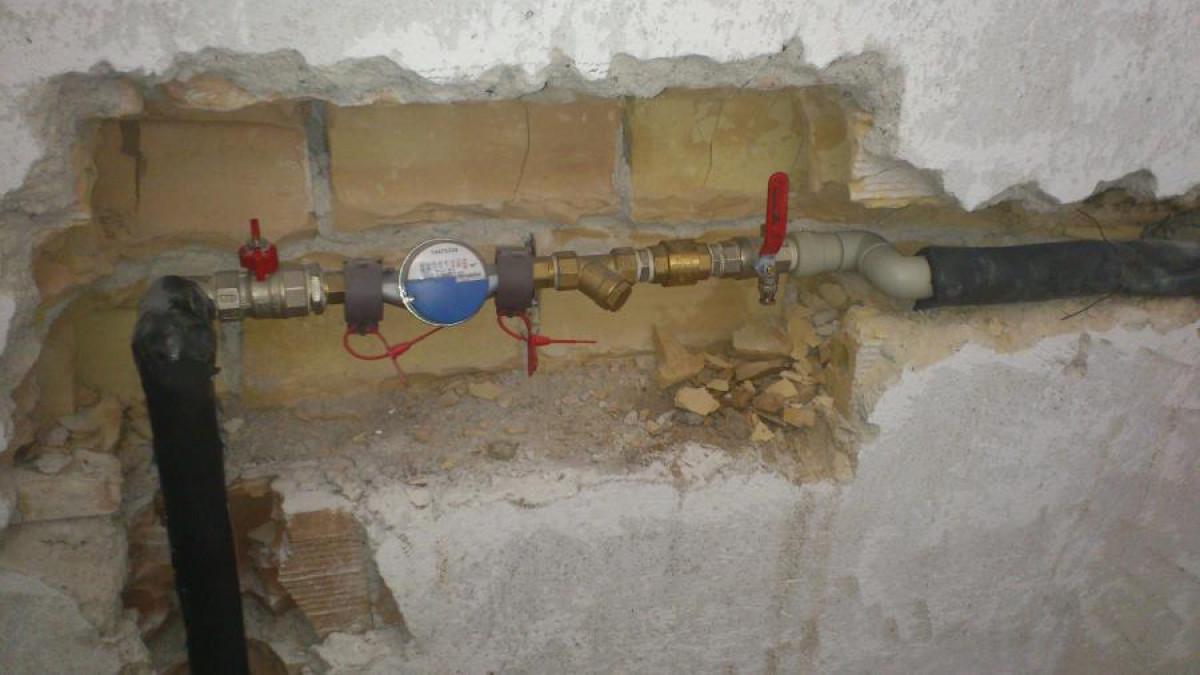 Снимка  от Ясен Божков