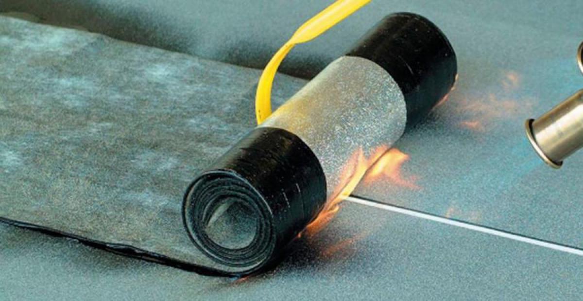 Снимка  от Бисер Асенов