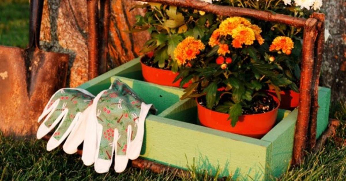 Есенната градина е красива