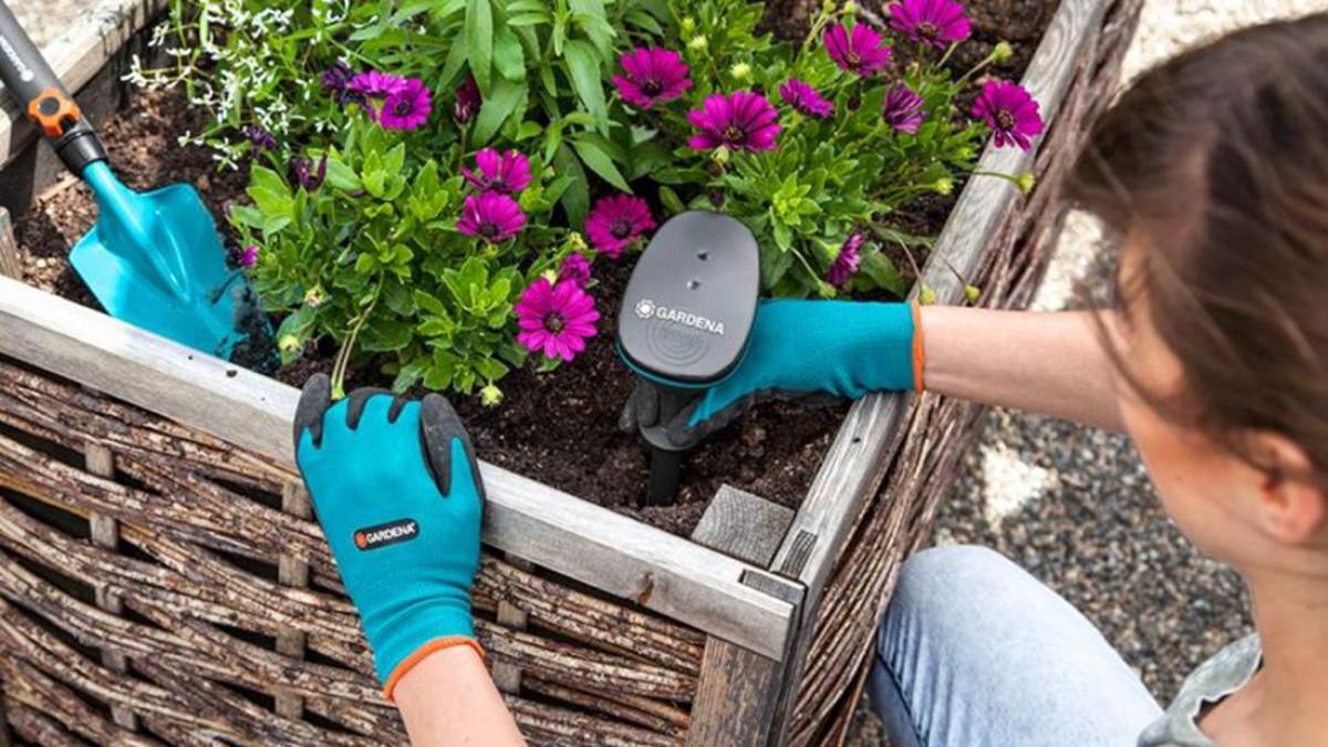 И още една тънкост, която е свързана с торенето