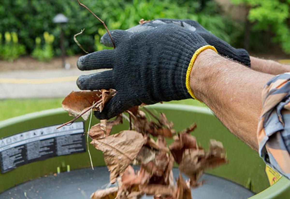 Чистотата в градината през есента е важна