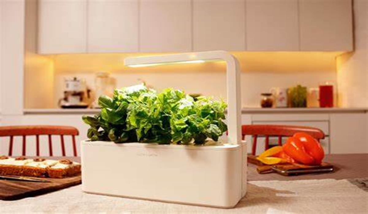 Smart Herb Garden - космическата градина