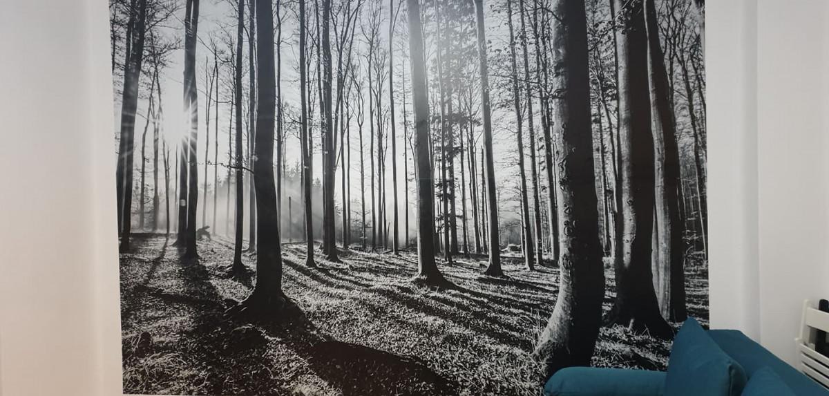 Лепене на фототапет