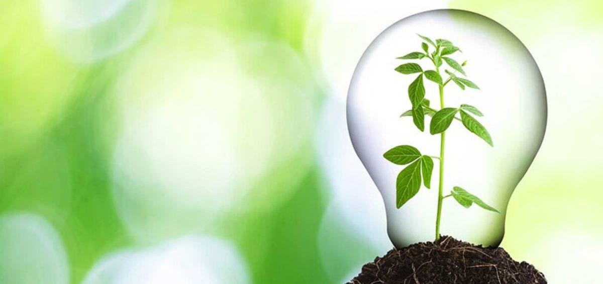 Основни еко съвети за офиса