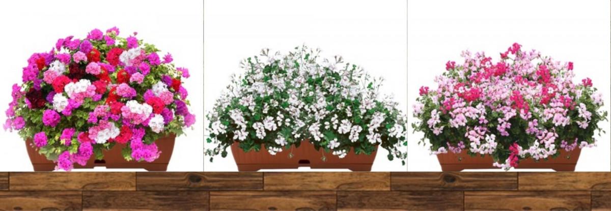 ДА ЗАПОЧВАМЕ!