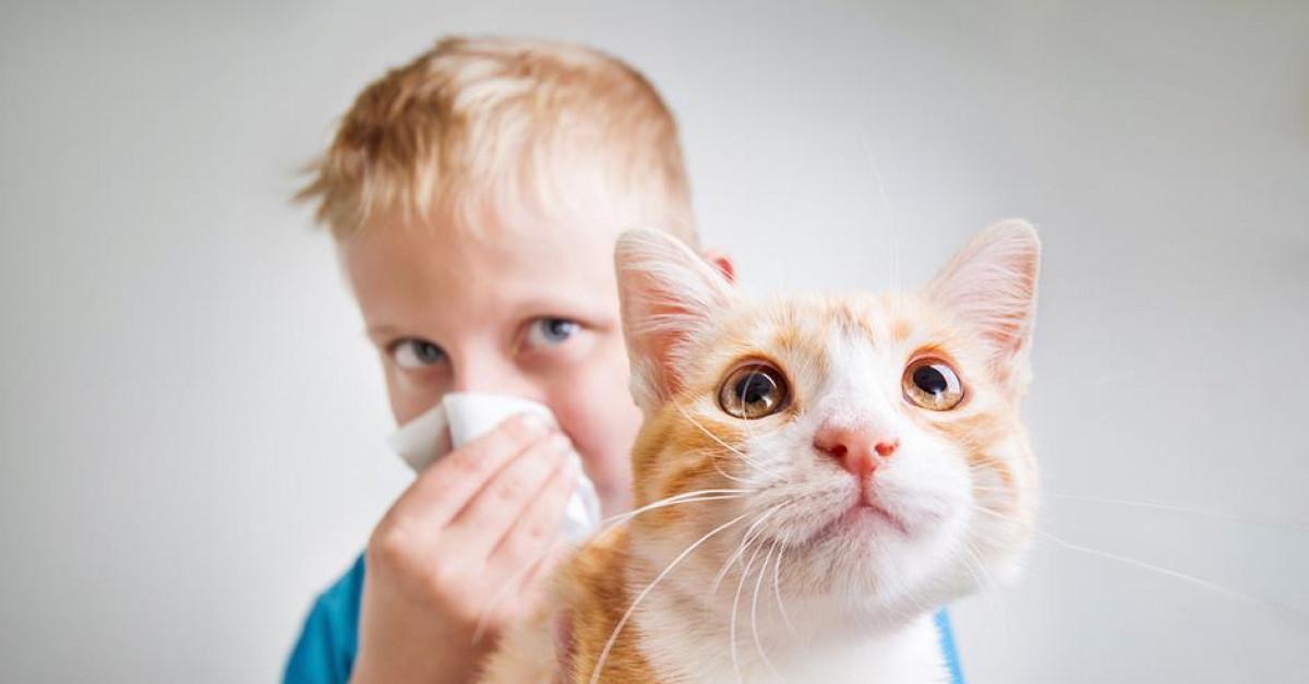 Климат и алергични вещества - рискове за здравето