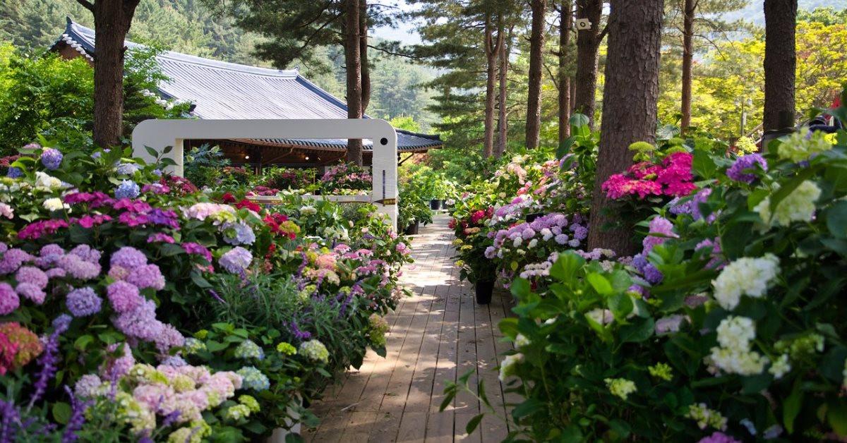 Основни тенденции за неповторима градина през 2020 г. (част първа)